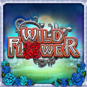 Wild Flower od Big Time Gaming, zimowy las i wilk