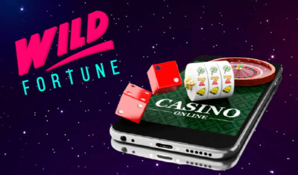 Wild Fortune Casino  3