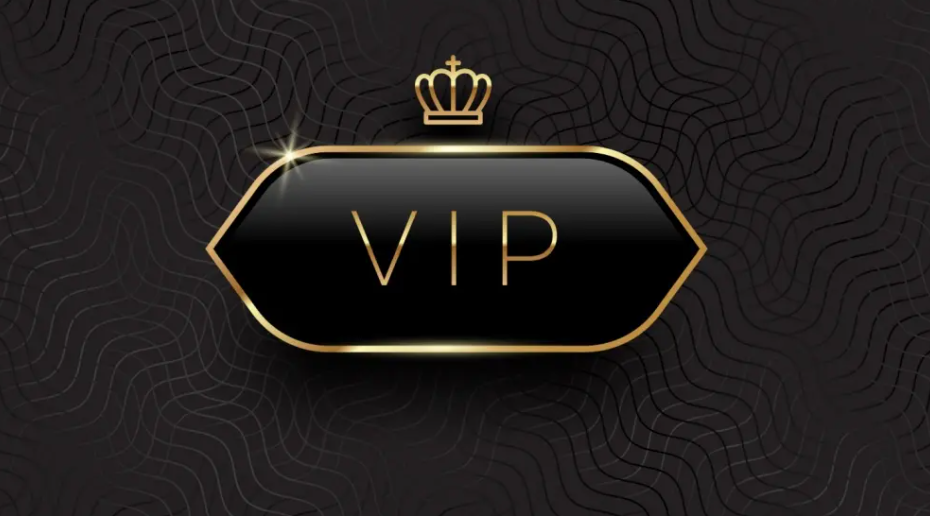 Miesiąc w programie VIP — dziennik (case study) 📓