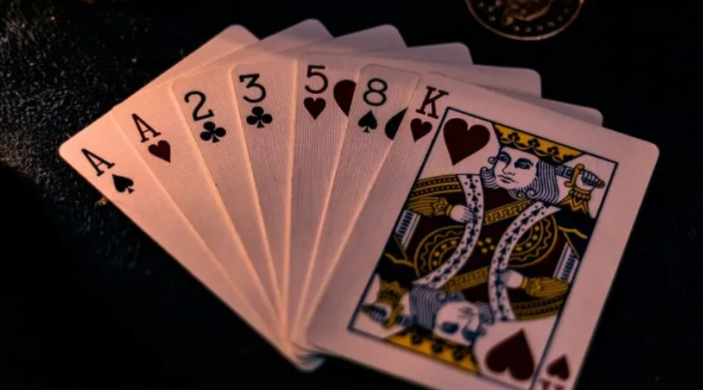 Miesiąc w programie VIP — dziennik (case study) 📓1